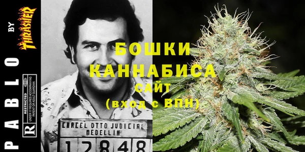 скорость Ельня