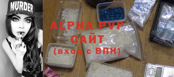 скорость Ельня