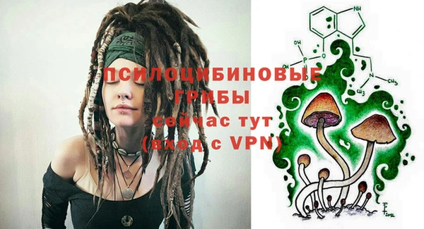 гидропоника Елабуга