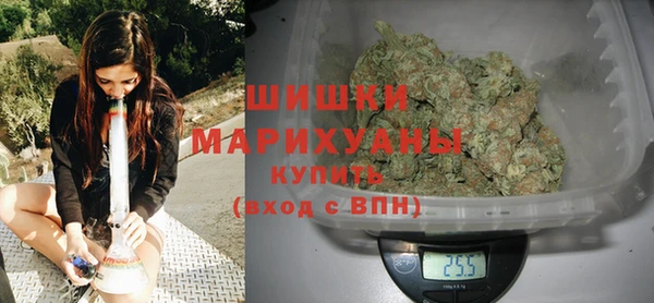 скорость Ельня