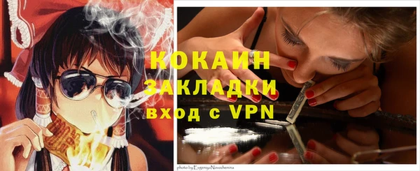 скорость Ельня
