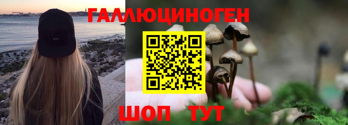 Псилоцибиновые грибы Psilocybine cubensis Мытищи